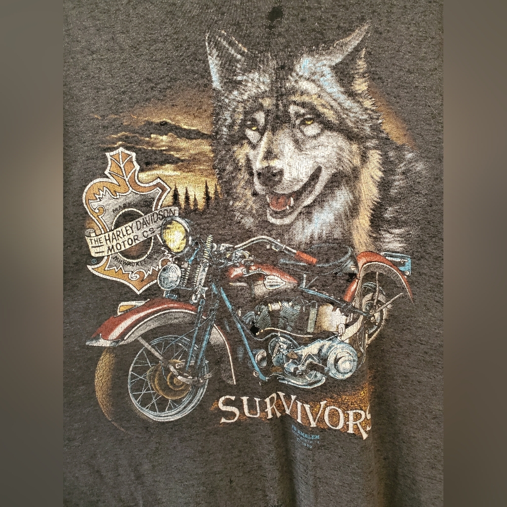 Harley Davidson Survivors